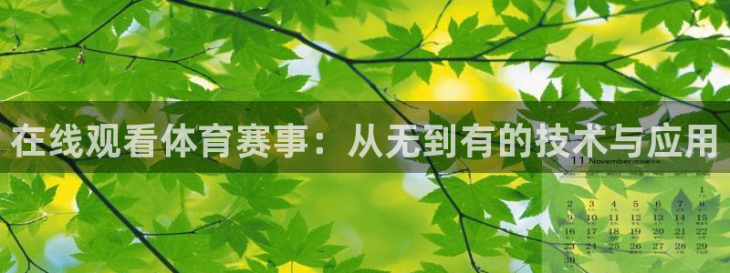 在线观看体育赛事：从无到有的技术与应用