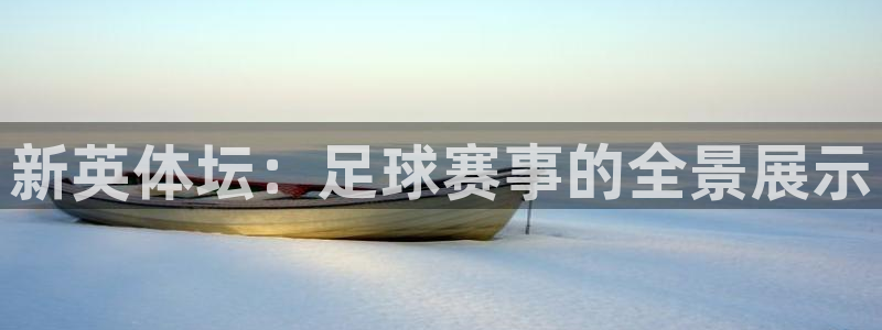 新英体坛：足球赛事的全景展示