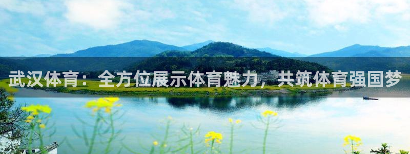 武汉体育：全方位展示体育魅力，共筑体育强国梦