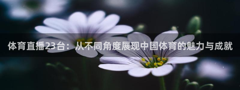 体育直播23台：从不同角度展现中国体育的魅力与成就