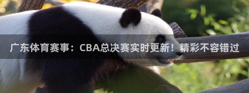 广东体育赛事：CBA总决赛实时更新！精彩不容错过